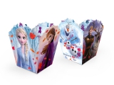 Orçamento: Cachepot Frozen