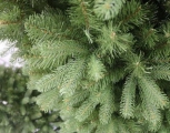 Árvore de Natal Pinheiro Europeu 2,10m
