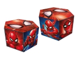 Foto Caixa Supresa Sextavada Spiderman