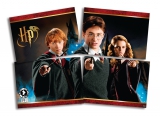 Foto Painel Harry Potter