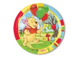 Prato Aniversário - Winnie The Pooh