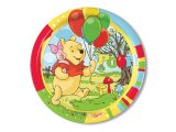 Foto Prato Aniversário - Winnie The Pooh